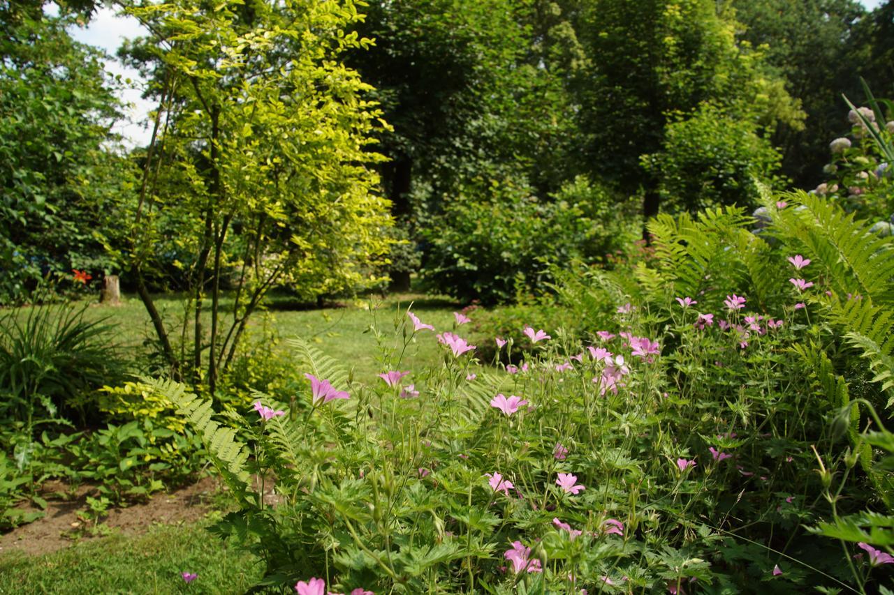 Bed & Breakfast Aan De Beek Арсен Экстерьер фото